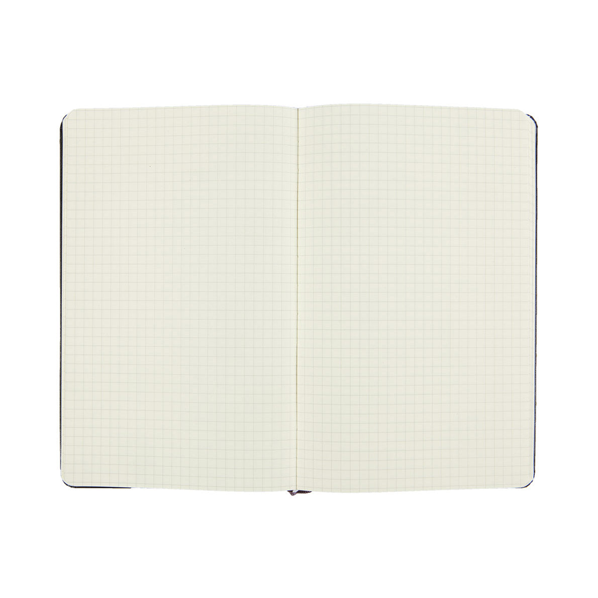 Moleskine Classic Large Notebook Hard Cover Squared