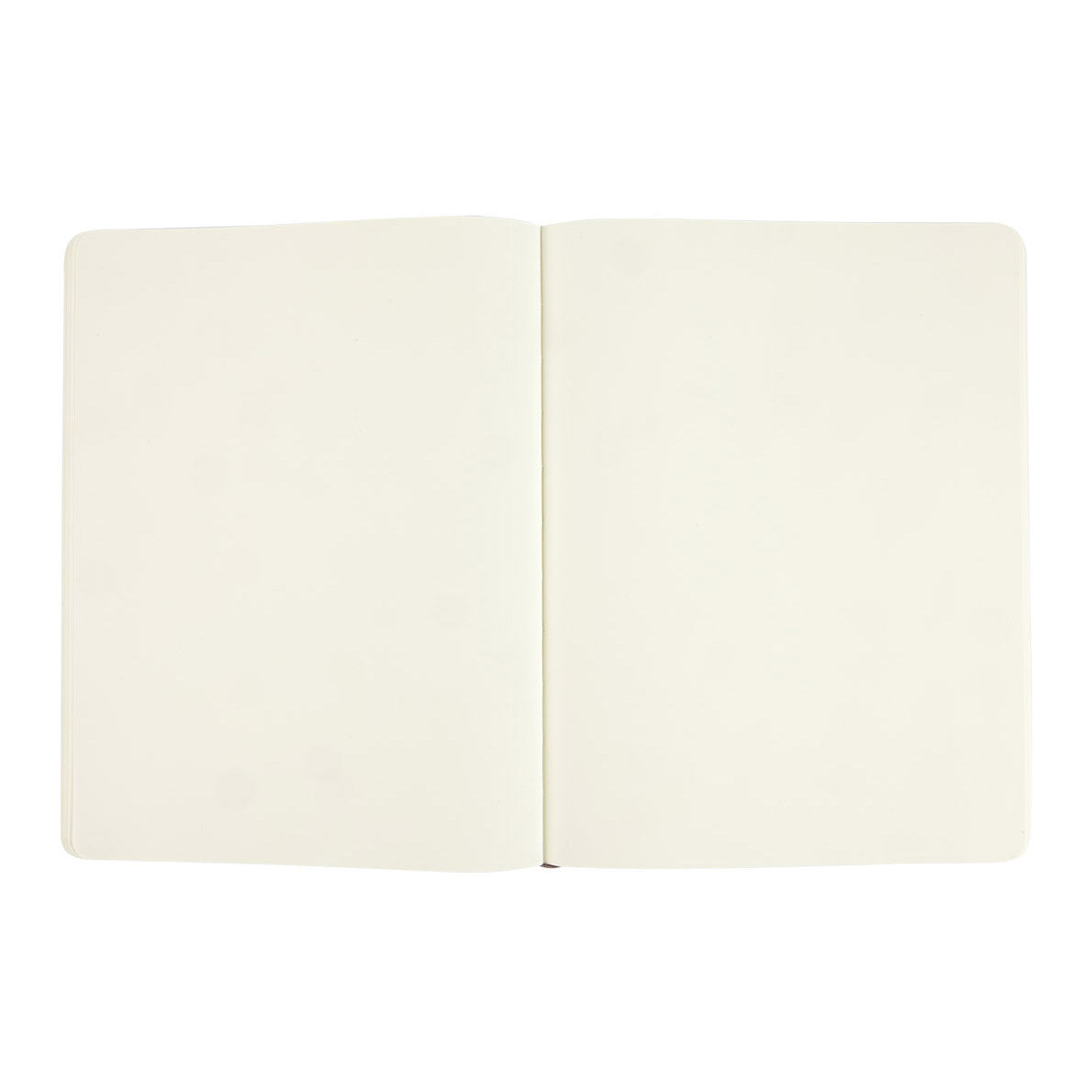 Moleskine Classic X-Large Notebook Soft Cover Plain