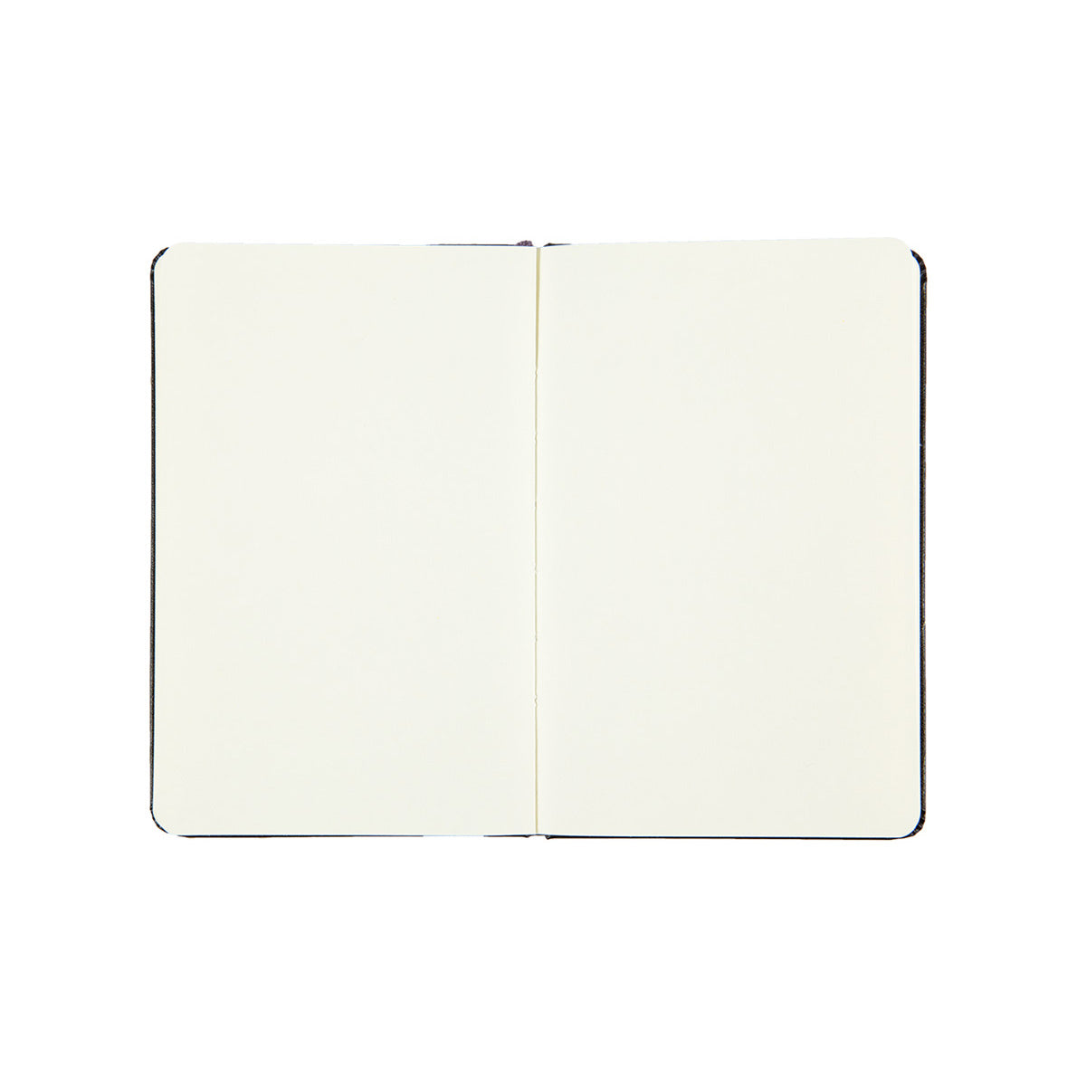 Moleskine Pocket Sketchbook Hard Cover Plain