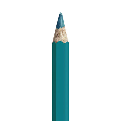 Caran d'Ache Pablo Coloured Pencils 80 Set