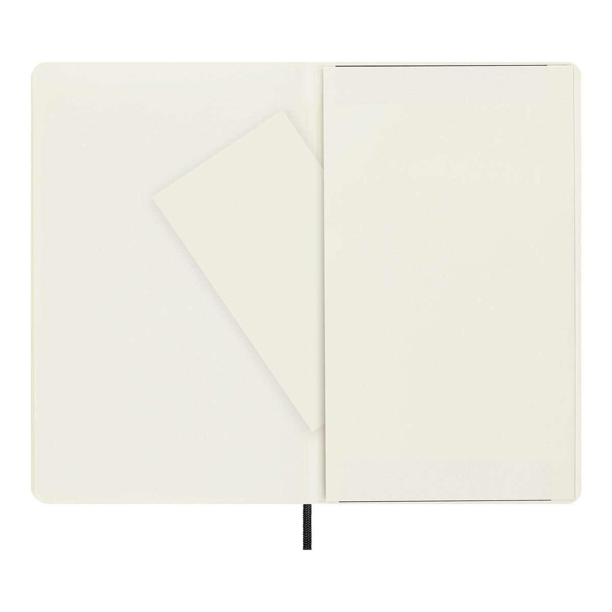 Moleskine Classic Large Notebook Soft Cover Dotted