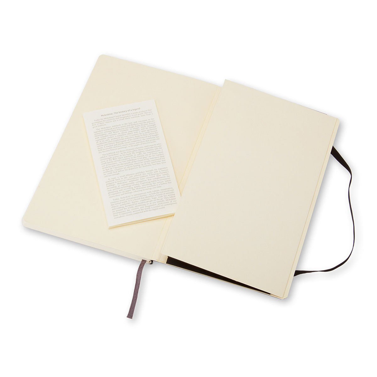 Moleskine Classic Large Notebook Soft Cover Plain